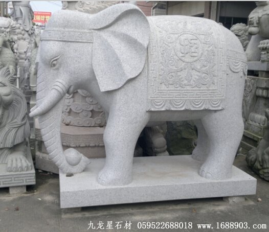 惠安白麻大象2