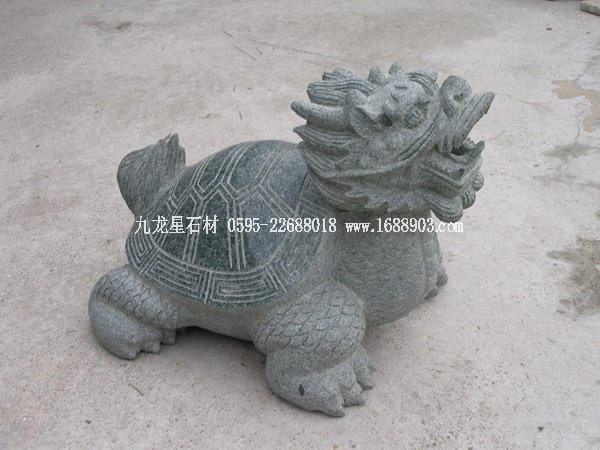 连江青龙头龟