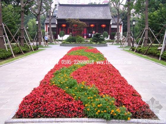 上海蓬莱公园第21张图片