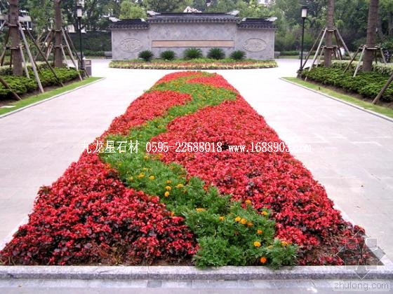上海蓬莱公园第20张图片